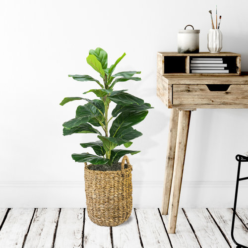 Joss & Main 30'' Faux Fiddle Leaf Fig Tree in Rattan Basket & Reviews